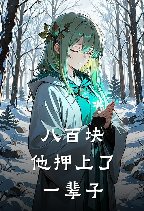 八百块，他押上了一辈子