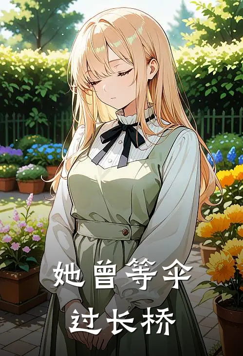 她曾等伞过长桥