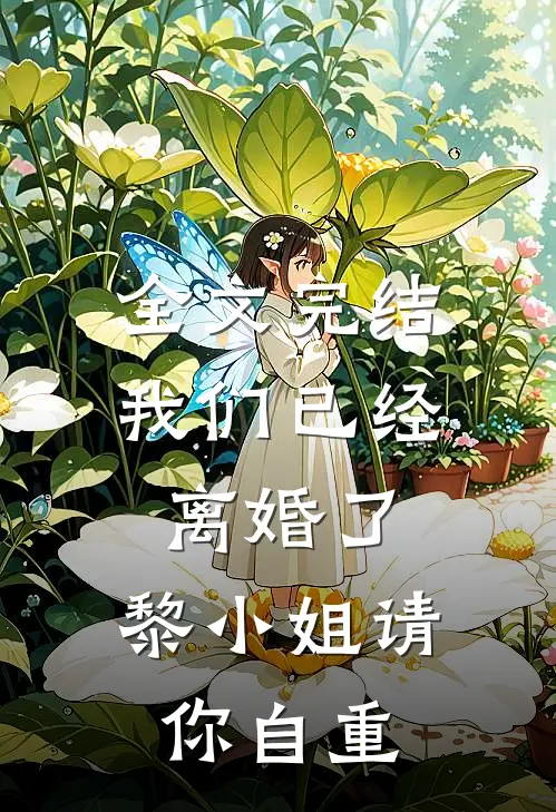 全文完结我们已经离婚了，黎小姐请你自重