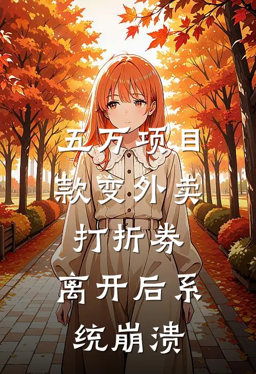 五万项目款变外卖打折券，离开后系统崩溃