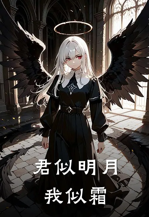 君似明月我似霜