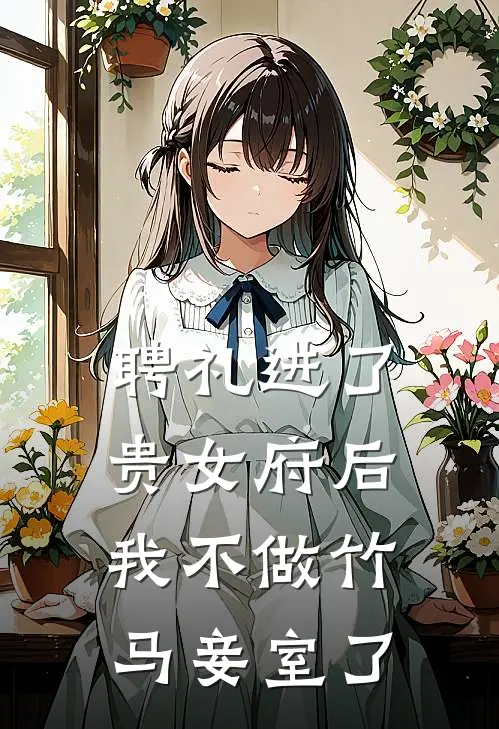 聘礼进了贵女府后，我不做竹马妾室了