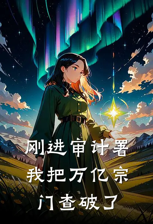 刚进审计署，我把万亿宗门查破了