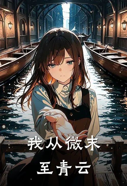 我从微末至青云