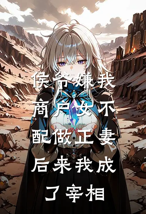 侯爷嫌我商户女不配做正妻，后来我成了宰相
