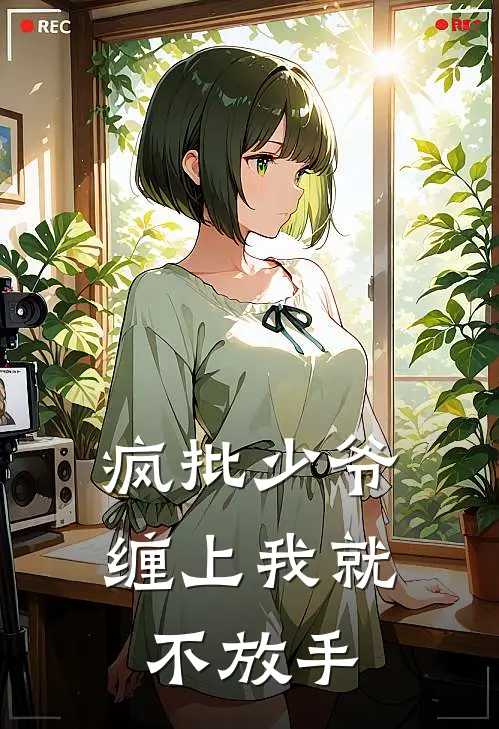 疯批少爷，缠上我就不放手