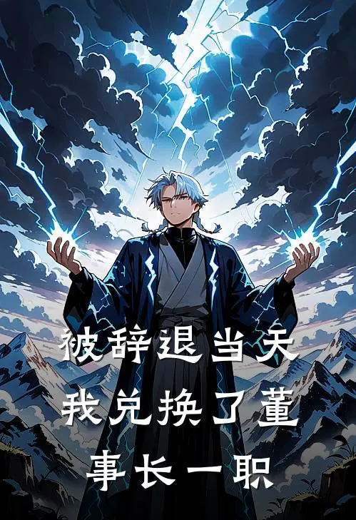 被辞退当天，我兑换了董事长一职