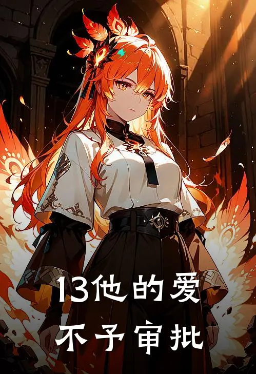 13他的爱，不予审批