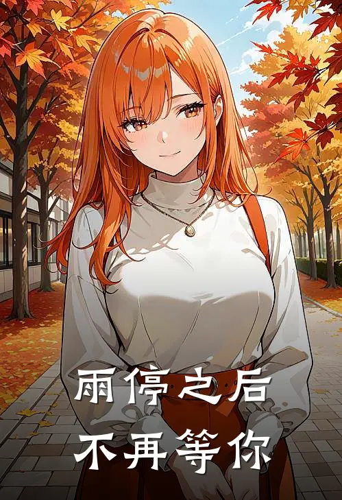 雨停之后，不再等你