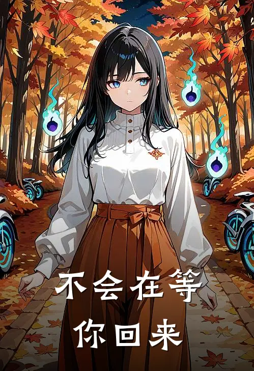不会在等你回来