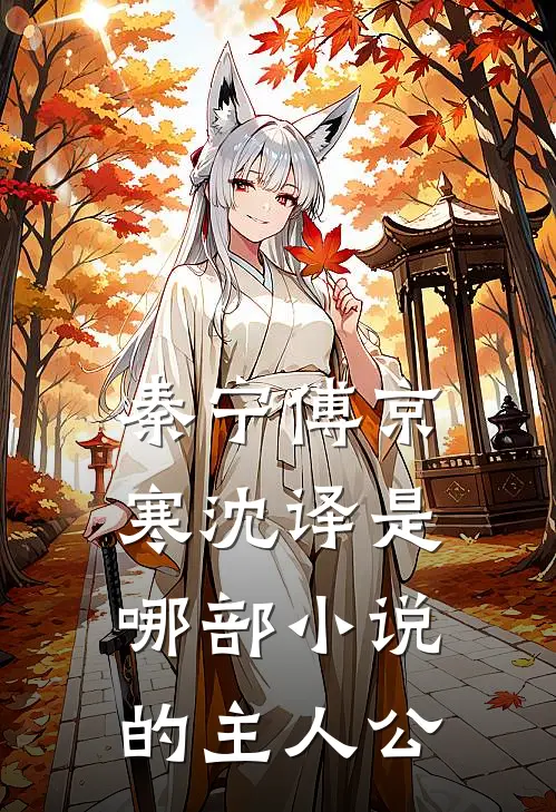 秦宁傅京寒沈译是哪部小说的主人公