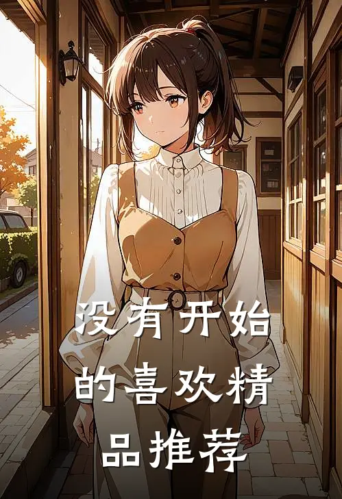 没有开始的喜欢精品推荐