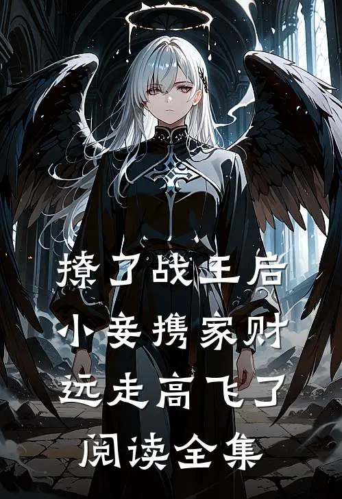 撩了战王后，小妾携家财远走高飞了阅读全集