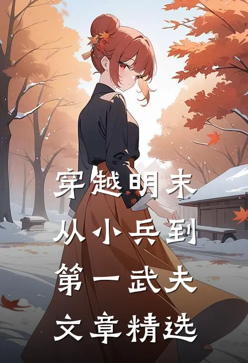 穿越明末：从小兵到第一武夫文章精选