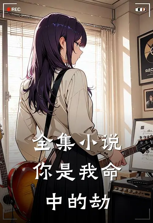 全集小说你是我命中的劫