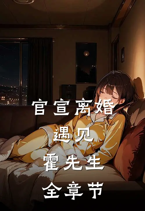 官宣离婚：遇见，霍先生全章节