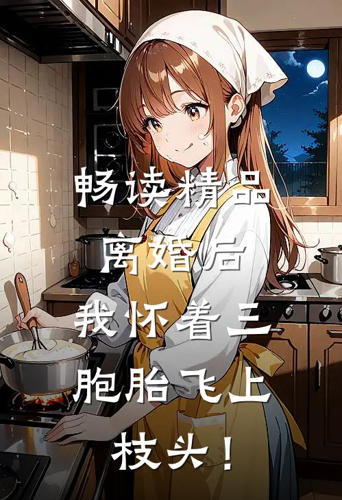 畅读精品离婚后，我怀着三胞胎飞上枝头！