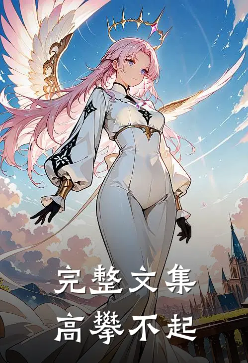 完整文集高攀不起