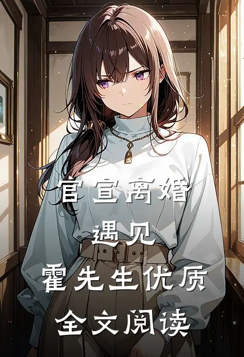 官宣离婚：遇见，霍先生优质全文阅读
