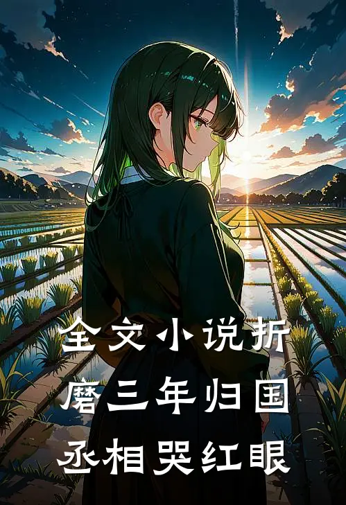 全文小说折磨三年归国，丞相哭红眼
