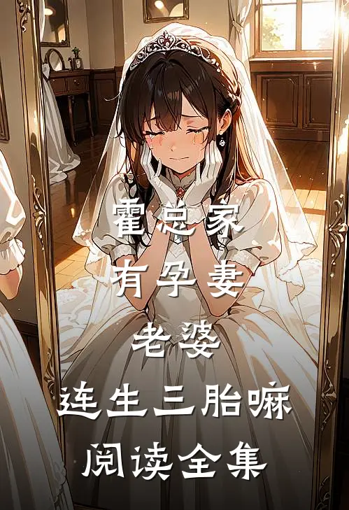 霍总家有孕妻：老婆，连生三胎嘛阅读全集