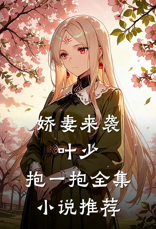 娇妻来袭：叶少，抱一抱全集小说推荐