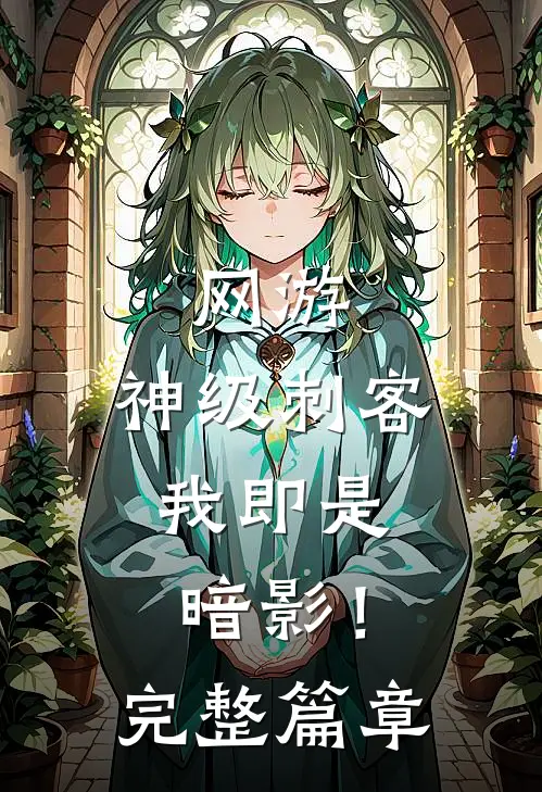 网游：神级刺客，我即是暗影！完整篇章