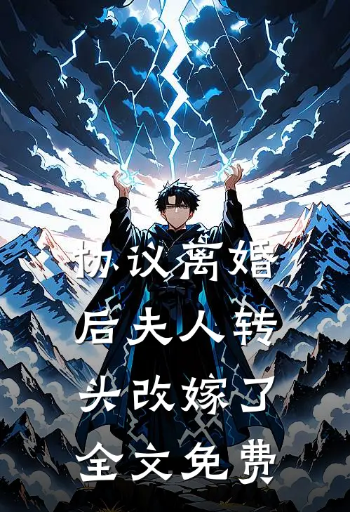 协议离婚后夫人转头改嫁了全文免费
