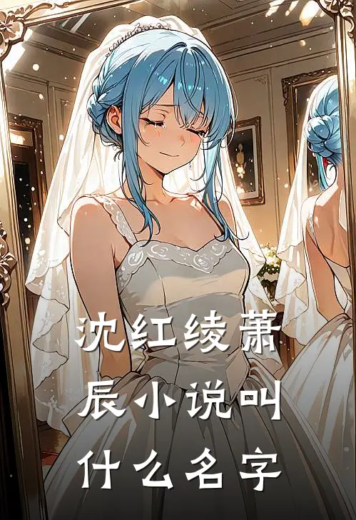 沈红绫萧辰小说叫什么名字