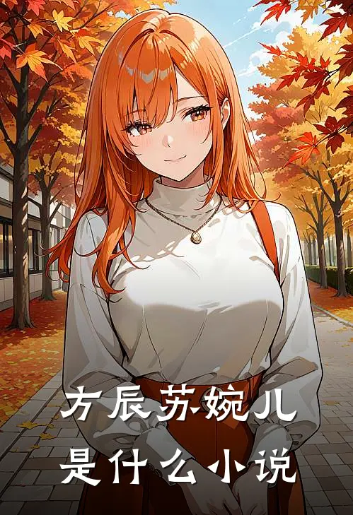 方辰苏婉儿是什么小说