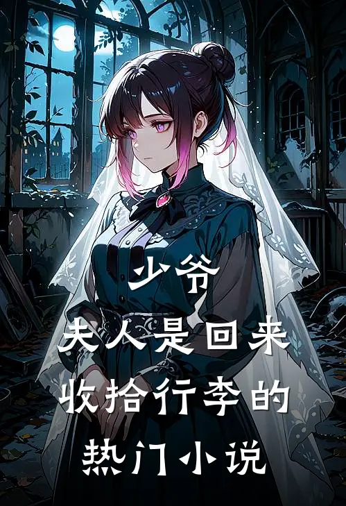 少爷，夫人是回来收拾行李的热门小说