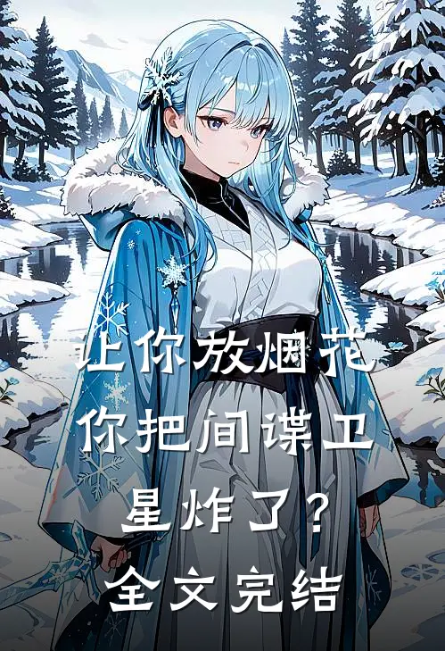 让你放烟花，你把间谍卫星炸了？全文完结