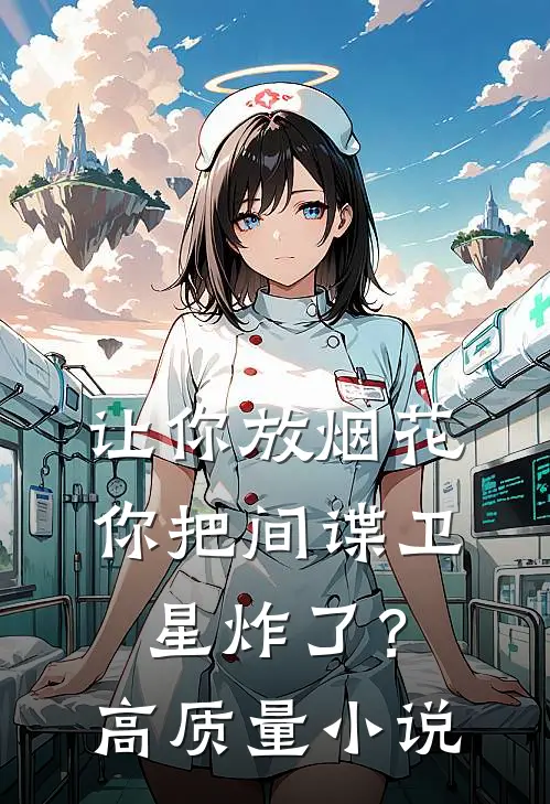 让你放烟花，你把间谍卫星炸了？高质量小说