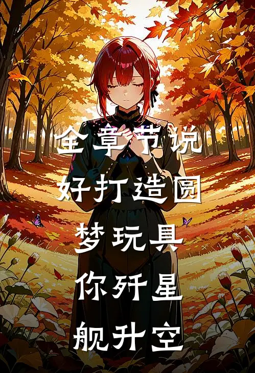 全章节说好打造圆梦玩具，你歼星舰升空