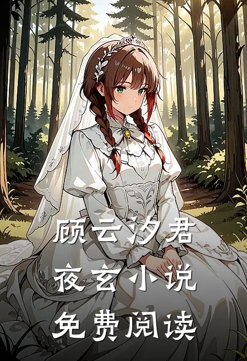 顾云汐君夜玄小说免费阅读