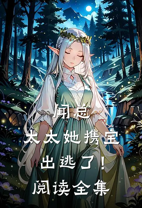 闻总，太太她携宝出逃了！阅读全集