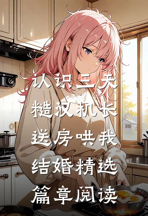 认识三天，糙汉机长送房哄我结婚精选篇章阅读