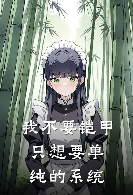 我不要铠甲，只想要单纯的系统