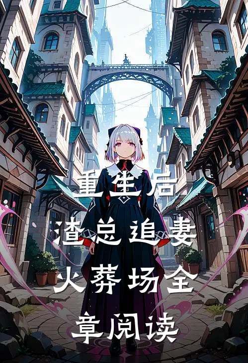 重生后，渣总追妻火葬场全章阅读