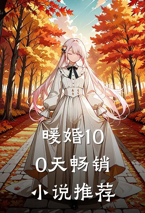 暖婚100天畅销小说推荐