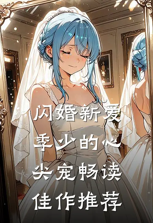 闪婚新爱：季少的心尖宠畅读佳作推荐