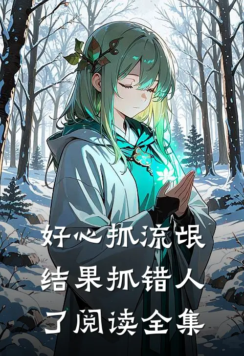 好心抓流氓，结果抓错人了阅读全集