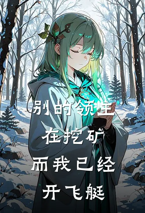 别的领主在挖矿，而我已经开飞艇
