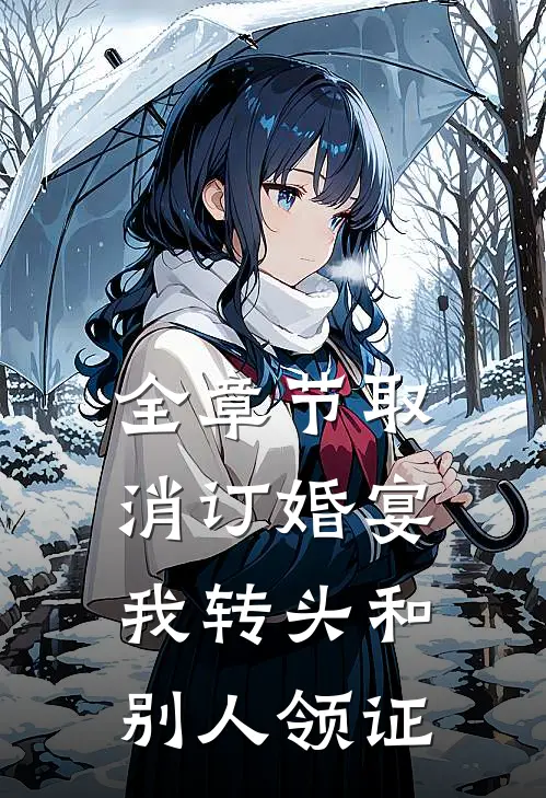 全章节取消订婚宴，我转头和别人领证