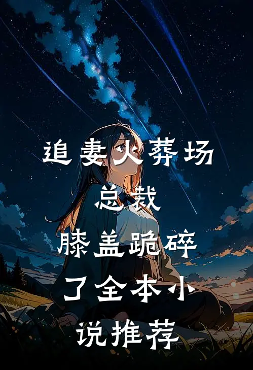 追妻火葬场：总裁，膝盖跪碎了全本小说推荐