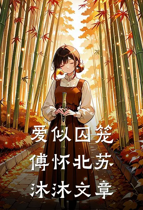 爱似囚笼(傅怀北苏沐沐)文章