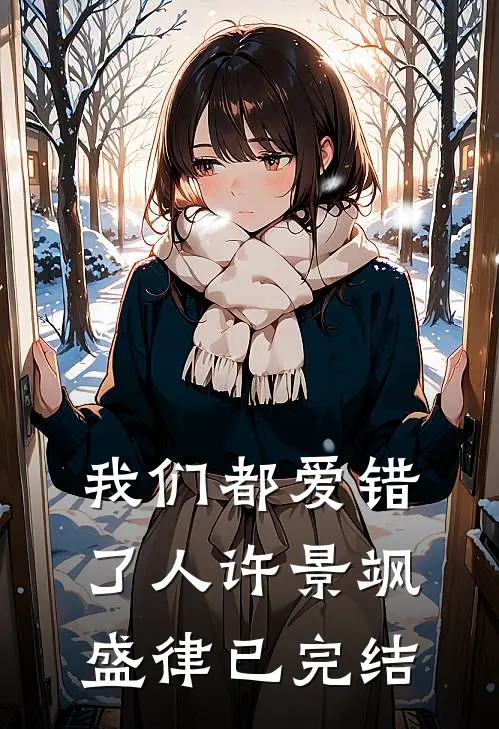 我们都爱错了人(许景飒盛律)已完结
