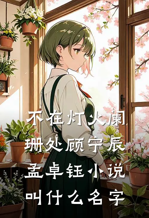 不在灯火阑珊处(顾宁辰孟卓钰)小说叫什么名字