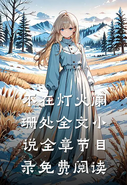 不在灯火阑珊处全文小说全章节目录免费阅读