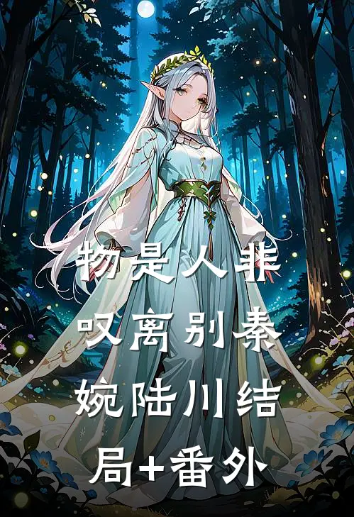 物是人非叹离别秦婉陆川结局+番外